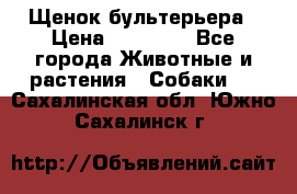 Щенок бультерьера › Цена ­ 35 000 - Все города Животные и растения » Собаки   . Сахалинская обл.,Южно-Сахалинск г.